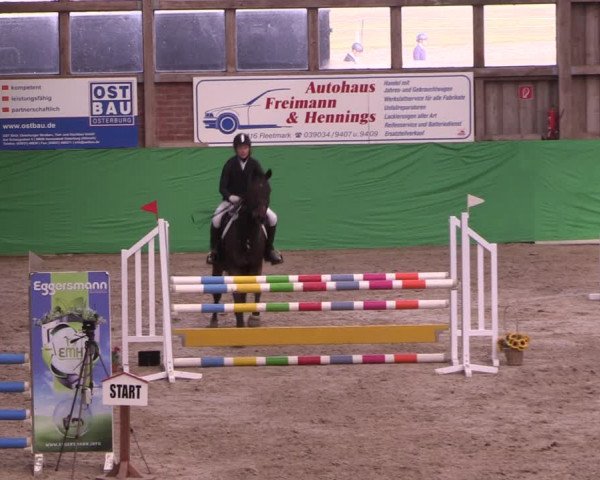 Krumke Hallenturnier mit KM 2021
