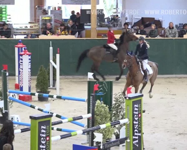 Reitturnier Dielsdorf, Horsepark Masters 2019