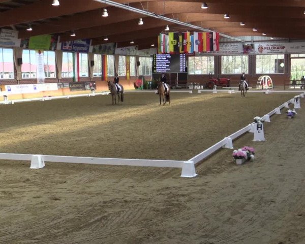 Reitturnier Seppenrade 2019