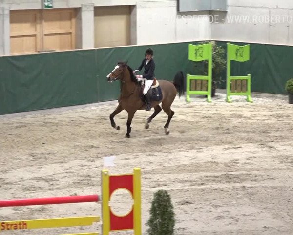 Reitturnier Dielsdorf, Horsepark Masters 2019