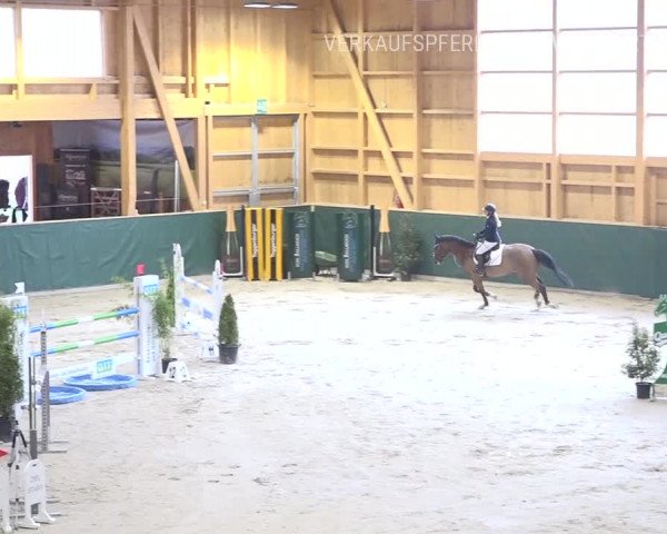 Reitturnier Dielsdorf, Horsepark Masters 2019