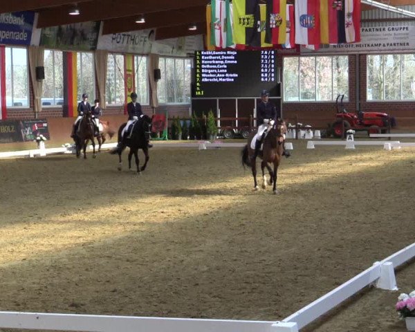 Reitturnier Seppenrade 2019