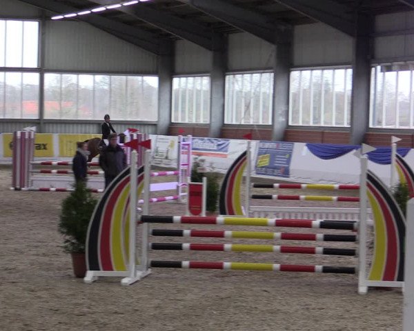 Reitturnier Greven 2019