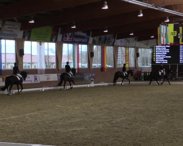 Reitturnier Seppenrade 2019
