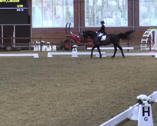 Reitturnier Seppenrade 2019