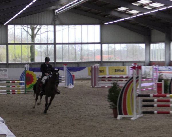 Reitturnier Greven 2019