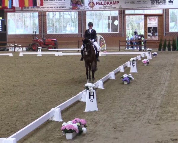 Reitturnier Seppenrade 2019