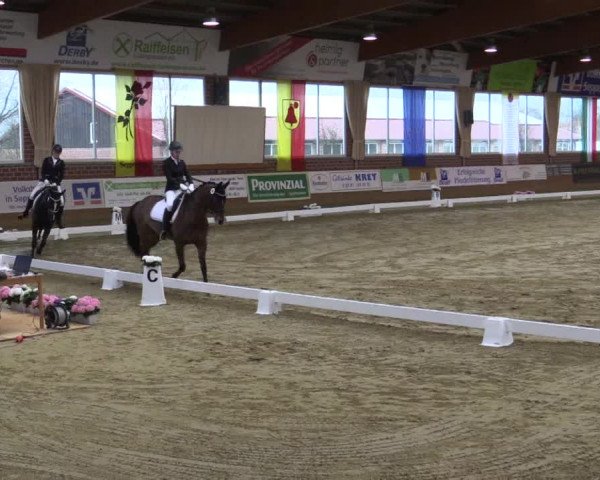 Reitturnier Seppenrade 2019