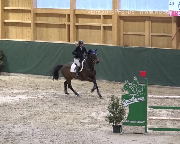 Reitturnier Dielsdorf, Horsepark Masters 2019
