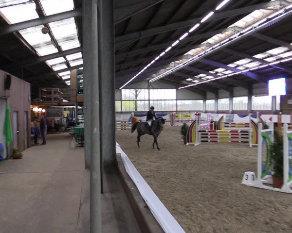 Reitturnier Greven 2019