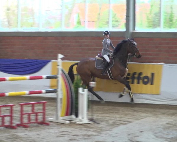 Reitturnier Greven 2019