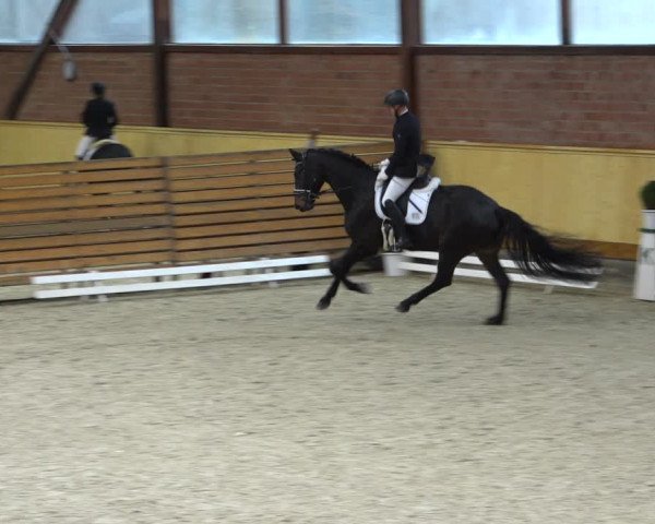 Reitturnier Hamburg-Friedrichshulde/Sylva Kuhrt 2021