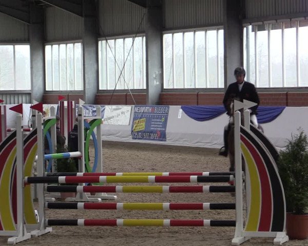 Reitturnier Greven 2019