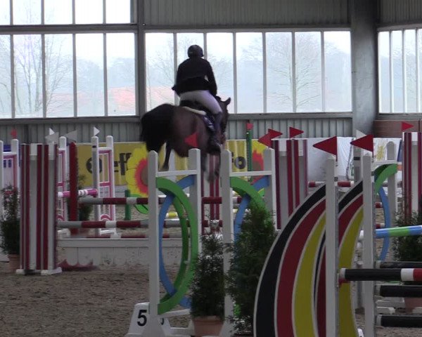 Reitturnier Greven 2019