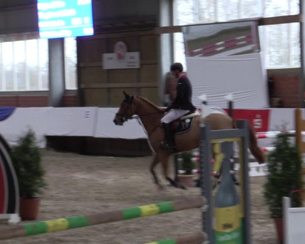 Reitturnier Greven 2019