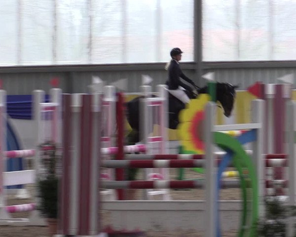 Reitturnier Greven 2019