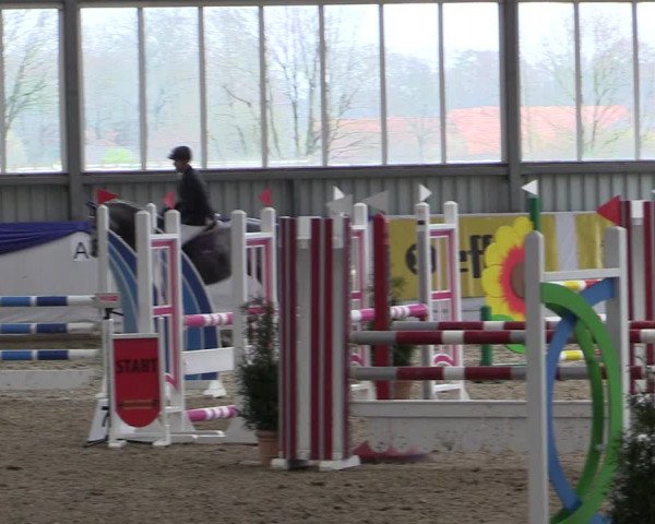 Reitturnier Greven 2019