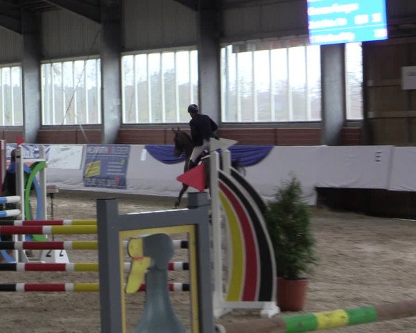 Reitturnier Greven 2019
