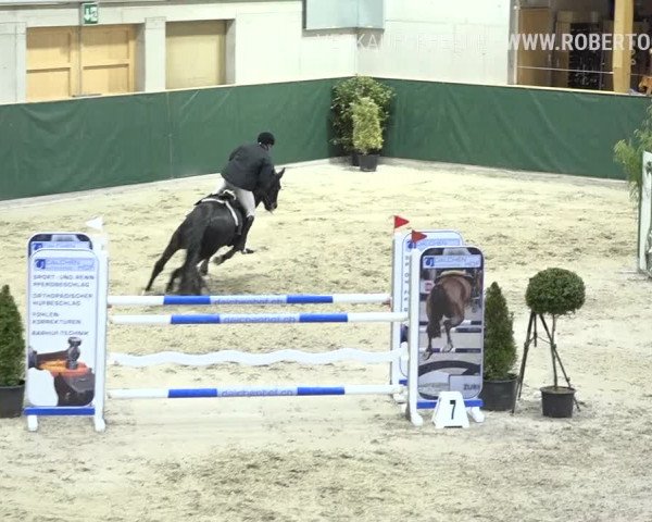 Reitturnier Dielsdorf, Horsepark Masters 2019