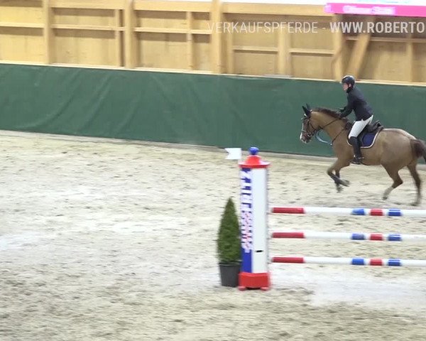 Reitturnier Dielsdorf, Horsepark Masters 2019