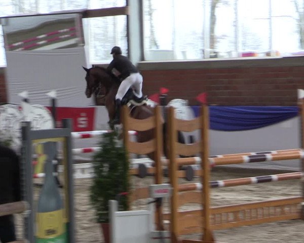 Reitturnier Greven 2019