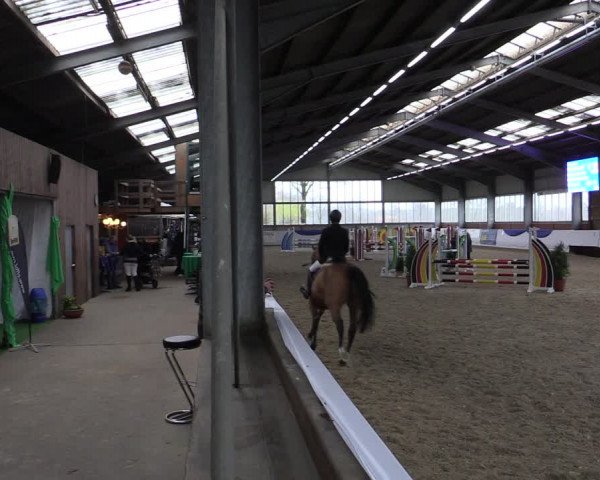 Reitturnier Greven 2019