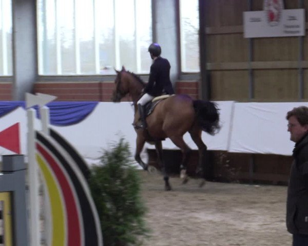 Reitturnier Greven 2019