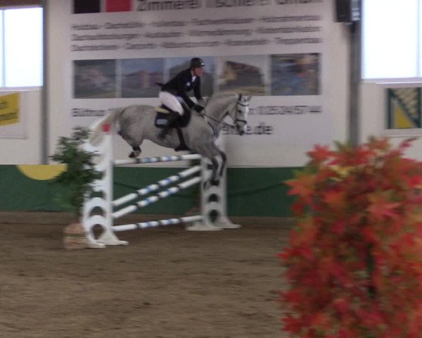 Reitturnier Warendorf-Freckenhorst 2019