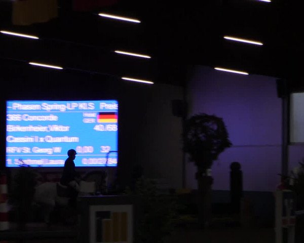 Reitturnier Warendorf-Freckenhorst 2019