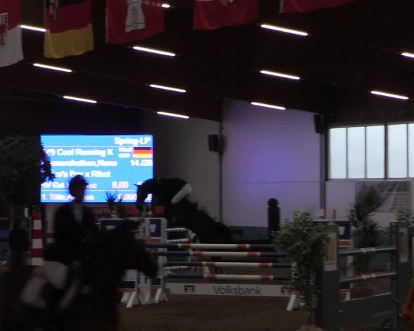 Reitturnier Warendorf-Freckenhorst 2019