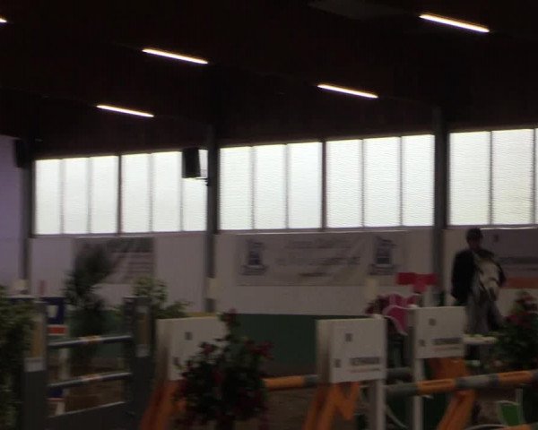 Reitturnier Warendorf-Freckenhorst 2019