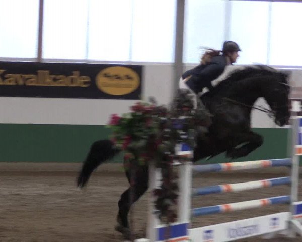 Reitturnier Warendorf-Freckenhorst 2019