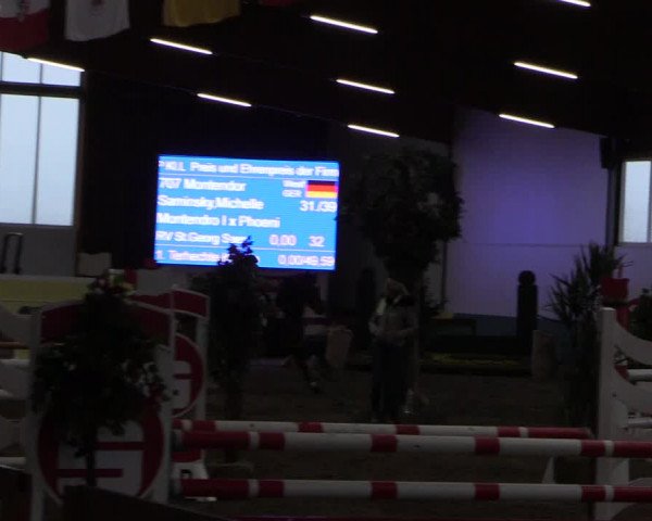 Reitturnier Warendorf-Freckenhorst 2019