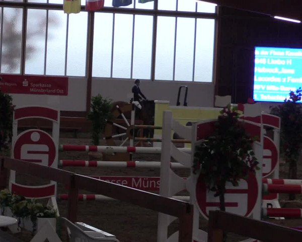 Reitturnier Warendorf-Freckenhorst 2019