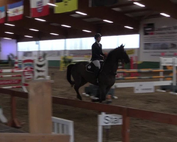 Reitturnier Warendorf-Freckenhorst 2019