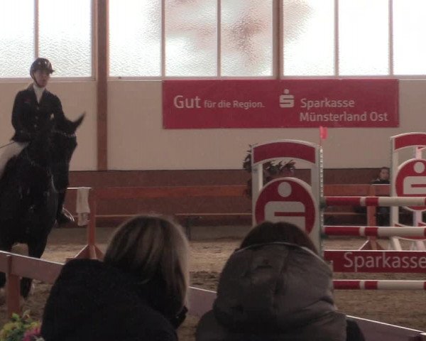 Reitturnier Warendorf-Freckenhorst 2019
