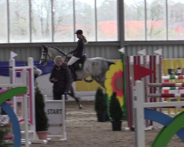 Reitturnier Greven 2019