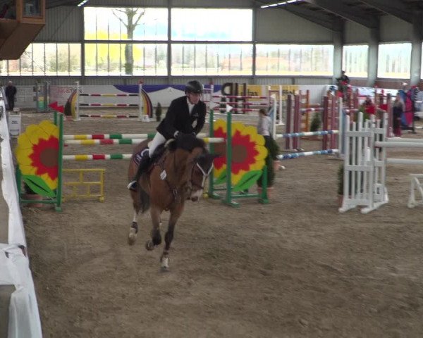 Reitturnier Greven 2019