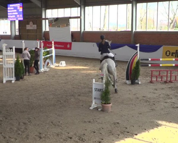 Reitturnier Greven 2019
