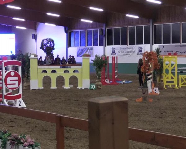 Reitturnier Warendorf-Freckenhorst 2019