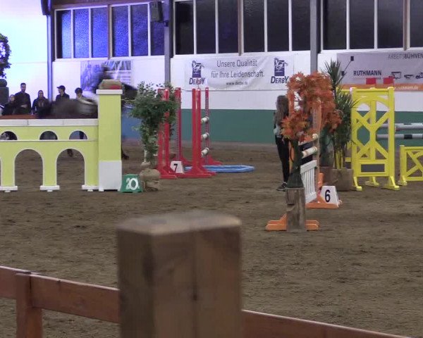 Reitturnier Warendorf-Freckenhorst 2019