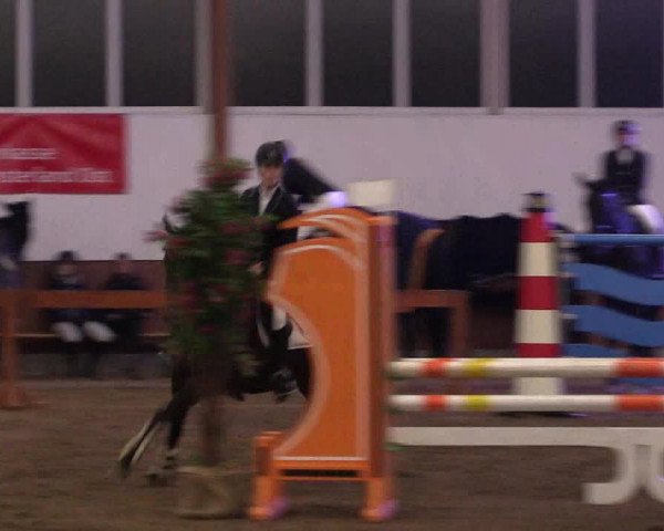 Reitturnier Warendorf-Freckenhorst 2019