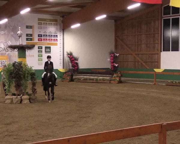 Reitturnier Warendorf-Freckenhorst 2019