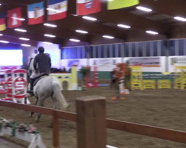 Reitturnier Warendorf-Freckenhorst 2019