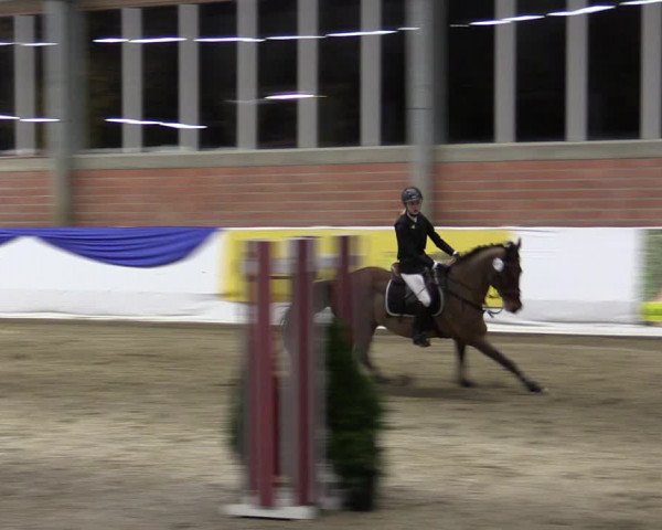 Reitturnier Greven 2019
