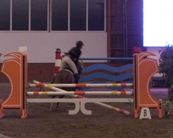 Reitturnier Warendorf-Freckenhorst 2019