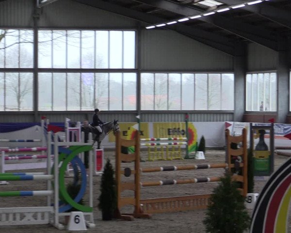 Reitturnier Greven 2019