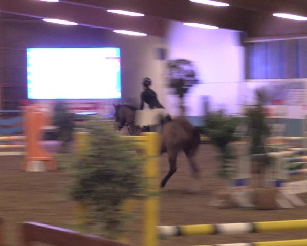 Reitturnier Warendorf-Freckenhorst 2019
