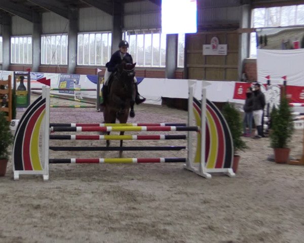Reitturnier Greven 2019