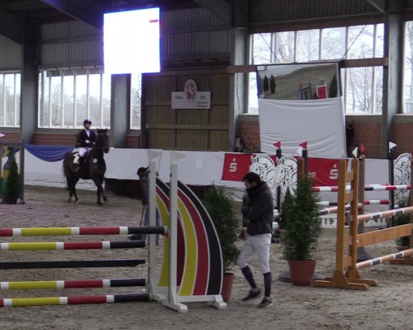 Reitturnier Greven 2019